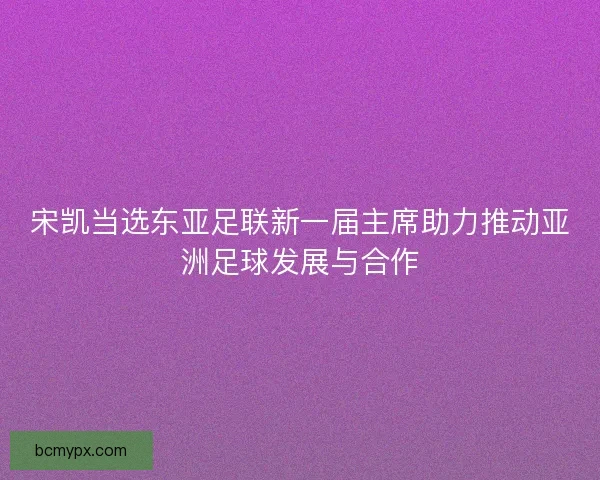 宋凯当选东亚足联新一届主席助力推动亚洲足球发展与合作